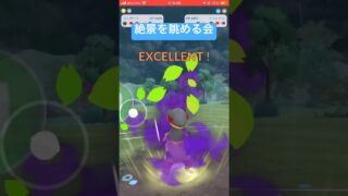 環境に刺さりすぎてて面白い #ポケモンgo #ポケモン #ゲーム実況 #pokemongo #スーパーリーグ #gbl #ゲーム #pvp #エレザード#プレビューカップ