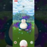 #ポケモンgo #ポケモン #pokemongo #pokemon #xxs #カビゴン #シャドウ #しゃどう #ちっちゃい