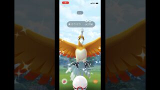ポケモンgo 色違いホウオウゲットチャレンジ　#pokemongo #shiny