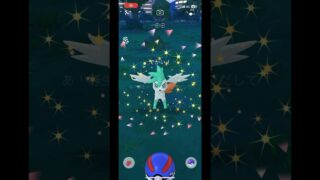 ポケモンgo 色違い最大サイズシェイミ(スカイフォルム)ゲットチャレンジ　#pokemongo #xxl #shiny