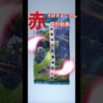 【赤大好きおじさん　開封動画】#ポケポケ #ポケモン #ポケカ #ポケモンカード #ゴッドパック #当てたい #pokemon #pokemoncards #赤大好きおじさん
