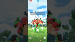 #pokemongo #pokemon #ポケモンgo #ポケモン #マッシブーン #イロチ #色違い #UB #ウルトラビースト
