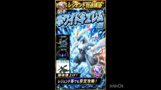 レジェンド構築‼️【ホワイトキュレム】編