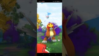 色違いメルタンを添えて vsシャドウエンテイ▼【ポケモンGO】