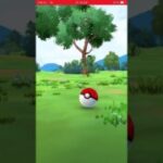 ゲットの瞬間　パート3188 ポケモンgo #ポケモンgo #pokemongo