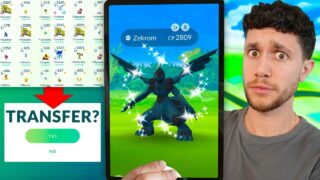 Catch a Shiny Legendary or TRANSFER One