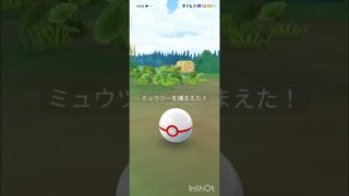 ポケモンGO ロケーション背景付き色違いミュウツー出た！