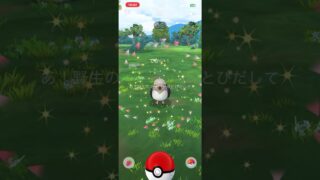 無課金でポケモンGO マメパト色違いゲットだぜ！