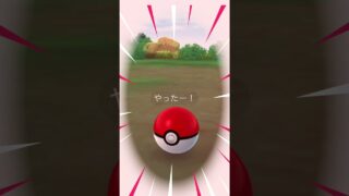 無課金でポケモンGO マーイーカ色違いゲットだぜ