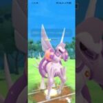 ポケモンGOバトルリーグ　マスターリーグ 2244