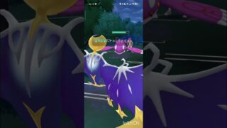 ポケモンGOバトルリーグ　マスターリーグ 2304