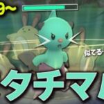 フタチマル・・・？オタチマル・・・？チャンピオンシップカップ！【ポケモンGO】
