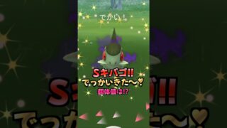 シャドウキバゴ１２連♪色違いと高個体狙い!!【ポケモンGO】