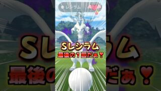 シャドウレシラム最後の１体をゲットだぁ!!サカキさん高個体か色違いをください!!【ポケモンGO】