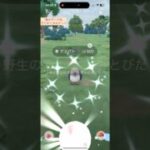 【難易度中】色違いマメパト極小サークルクリティカルゲット【ポケモンGO】