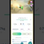 【ポケモンGO】緑イキリンコもいた🟢 #ポケモンgo #ポケモン