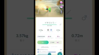 【ポケモンGO】緑イキリンコもいた🟢 #ポケモンgo #ポケモン