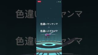 ポケモンGO 色違いヤンヤンマをシンオウの石を使って色違いメガヤンマへ進化！　#ポケモン #pokémon #ポケモンgo #pokemongo