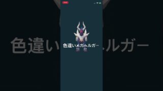 ポケモンGO 色違いヘルガーをメガシンカ！色違いメガヘルガー #ポケモン #pokémon #ポケモンgo