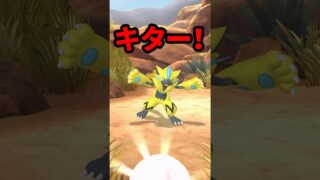 【ポケモンGO】これは保存版。ゼラオラ入手からスペシャル背景まで全部見せます #shorts