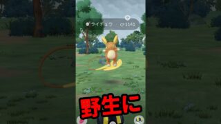 【ポケモンGO】色違いゼロからの大逆転！野生ライチュウ出現の理由、これです #shorts