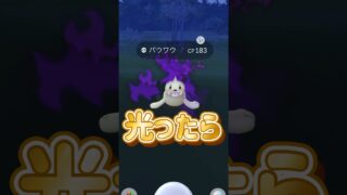 【ポケモンGO】初実装シャドウ色違い大量追加きたぞ！リーダーの手持ち一新！ #shorts