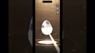 ポケモンGOで10kmたまごを孵化する。Part3 #shortvideo #music #ポケモンgo #pokemongo #ポケモンgoバトルリーグ
