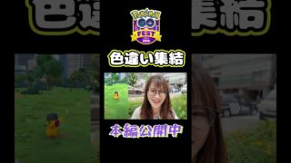 【GOフェス】色違い集結!!みんなはどうだった？【ポケモンGO】
