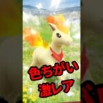 【ポケモンGO】知らないと損！今回のGOパス“当たり枠”全部見せ #shorts