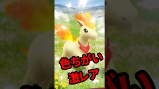 【ポケモンGO】知らないと損！今回のGOパス“当たり枠”全部見せ #shorts