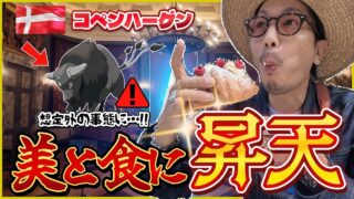【ポケモンGO】ここは現実世界なのか・・・？？色違いパルデアケンタロス（コンバットしゅ）を捕獲せよ！！北欧デンマークが異次元すぎてもう無理かもしれんｗｗｗ【PokémonGOFest2026】