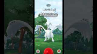 【ポケモンGO】レシラムが野生に？？！！！#ポケモンgo #ポケモン #レシラム