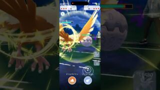 【GOバトルリーグなshort】一見ヤバい展開でもナメてるとゴリ押しで勝てる！！【ポケモンGO】＃ポケモンGO　＃GOバトルリーグ