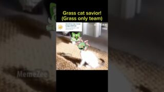 Grass cat savior and only using grass types! | Pokemon Go Sunshine Cup: Great League Edition