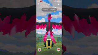 Grinding Zygarde Cells on Pokemon GO Day: 10 *INSANE*