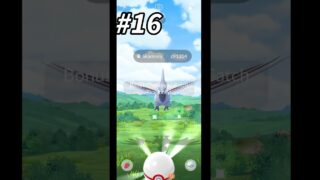 How Many Raids Before Mega Skarmory Shines ?? | Pokemon Go |