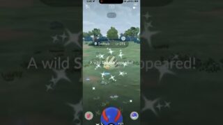 ✨I Caught THIS SHINY Pokemon During SPOTLIGHT HOUR In Pokemon Go!✨ #shorts #pokemon