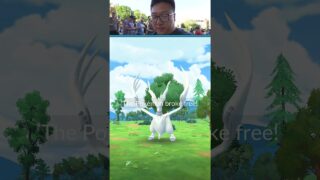 I Caught a 100IV Reshiram in Pokemon GO!