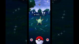 I FOUND A SHINY MANKEY CP 627! ✨ INSANE LUCK | Pokemon GO #Shorts