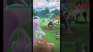 ✨️Mega Mewtwo VS✨️Mega Kyurem PVP Battle #pokémongo