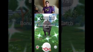 NEW CHICAGO GO FEST EVENT IN POKÉMON GO! Shiny Blaze Breed Paldean Tauros, Shiny Varoom, & More!