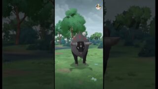 ✨️NEW SHINY BLAZE TAUROS CAUGHT!🔥#shorts #shinypokemon #pokemongo #viralshort