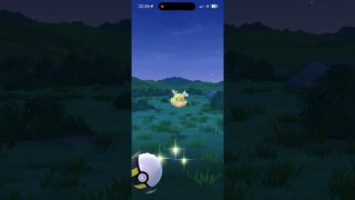 Pokemon GO – Wild Flittle (iPhone 15 Pro Max) Pokémon GO #mmtopokemongo