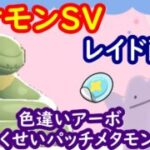 🔴【ポケモンSV】色違いアーボレイド＋とくせいパッチメタモンレイド＋視聴者同士の交流所（攻略情報・レイド募集・ポケモン交換・ポケモン対戦・攻略情報など）2026年6月11日 朝～