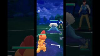 Scrafty VS Walrein! | Pokemon GO Ultra League PvP Battle #Shorts