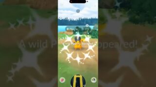 ✨Shiny INSTINCT Pikachu CAUGHT in Pokemon Go!!!✨ #shorts #pokemon