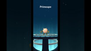 Shiny Mankey to Shiny Primeape! Pokemon GO Evolution #Shorts