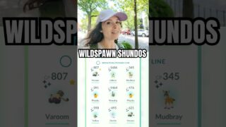 Wildspawn Shundos are SO POSSIBLE! #PokemonGO