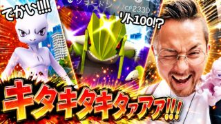 XXLミュウツー！！色ハイッ！シャドウ色リト100チャンス！？キタキタキタキタアアアアアアアアアアアアアアア！！！【ポケモンGO】