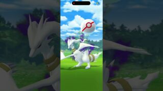サカキで神引き #ポケモンgo #色違い #サカキ #神引き #ばずれ